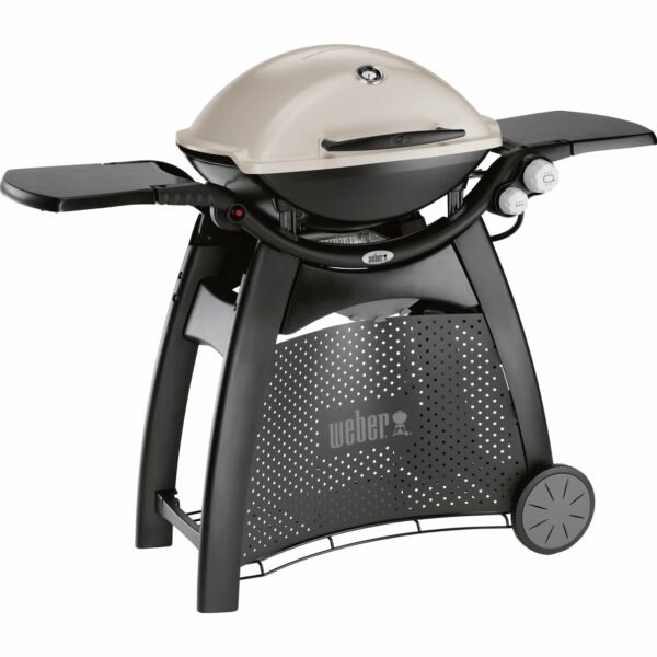 Weber Gasgrill Q 3000 Titan mit 2 Brennern